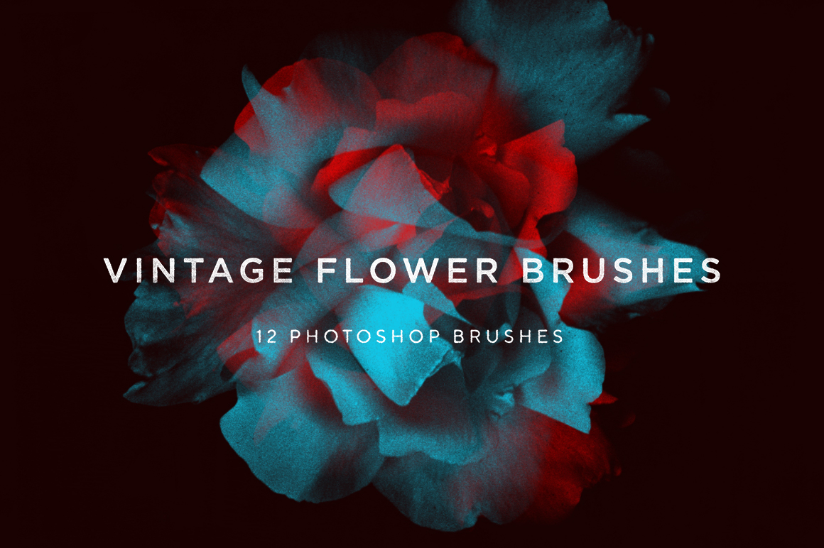 Vintage Flower Brushes