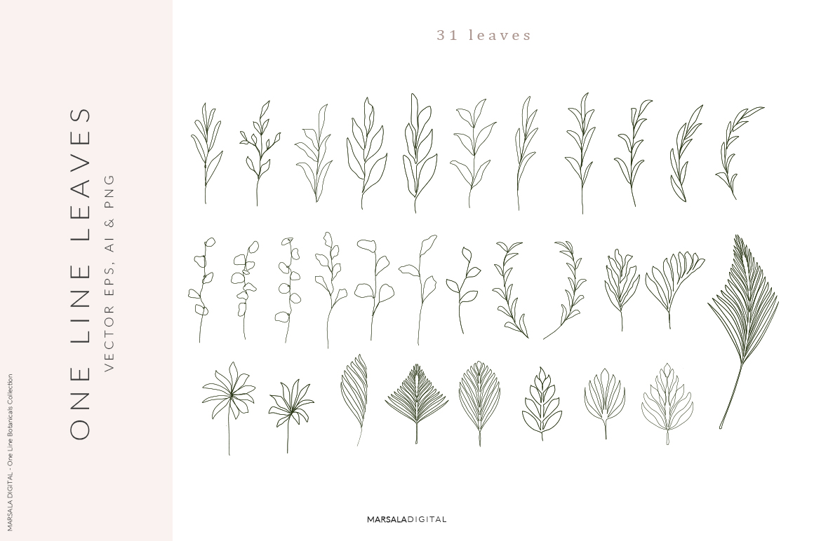 One Line Botanical Drawings - Design Cuts