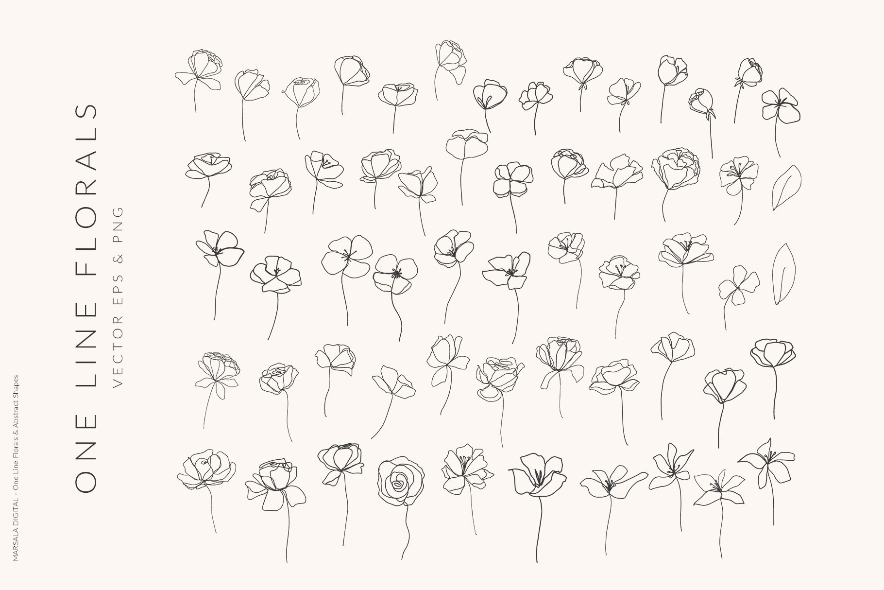 One Line Floral Drawings - Abstract Graphics