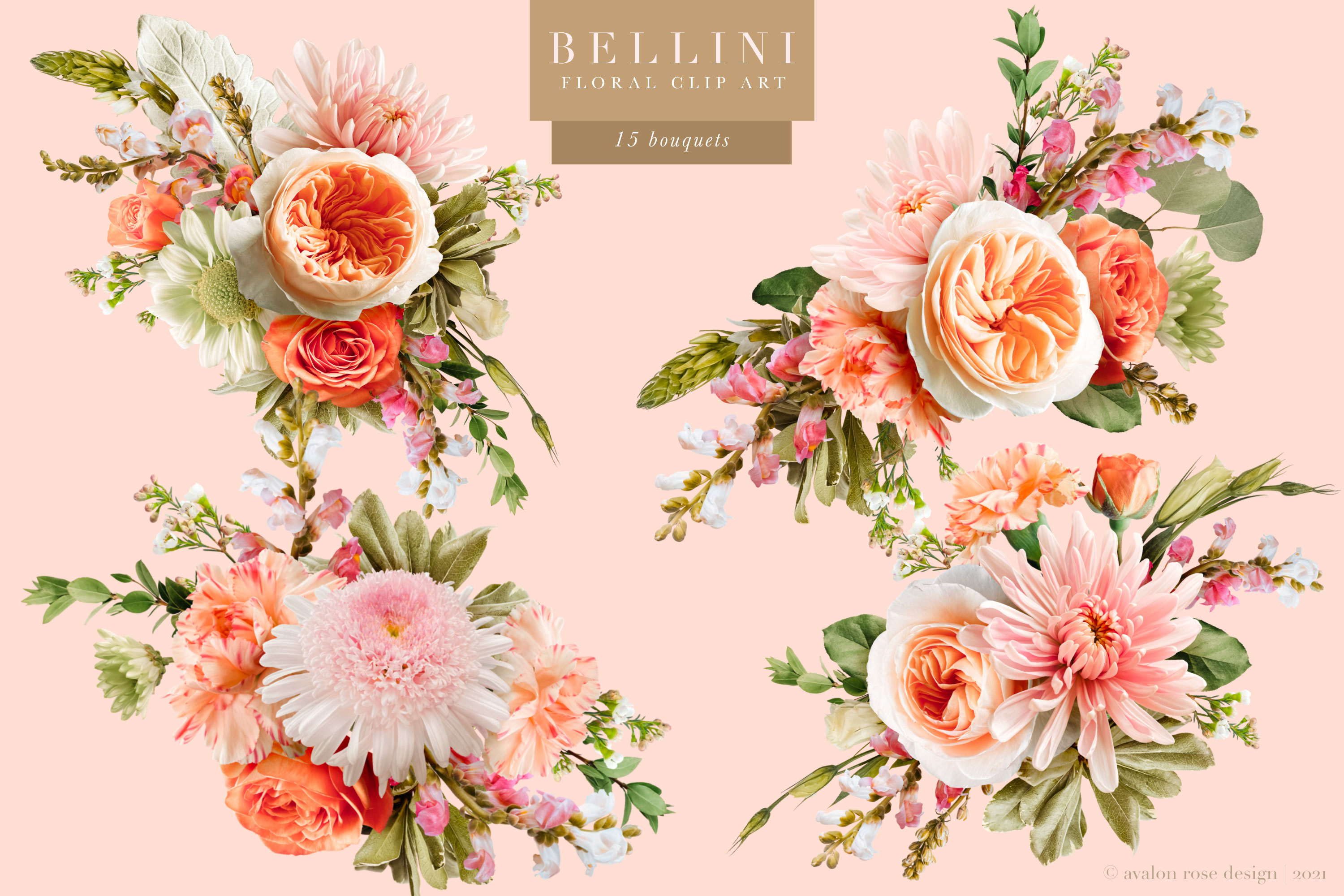 Bellini Floral Clip Art Collection