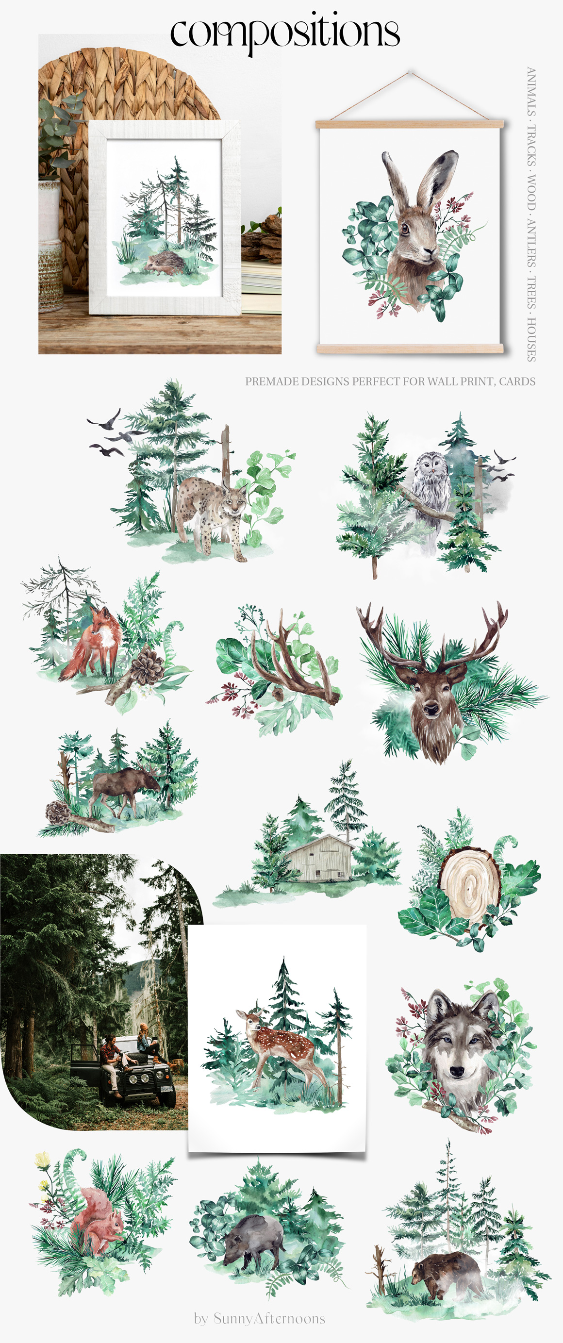 Misty Woodland - Forest Watercolor Animals