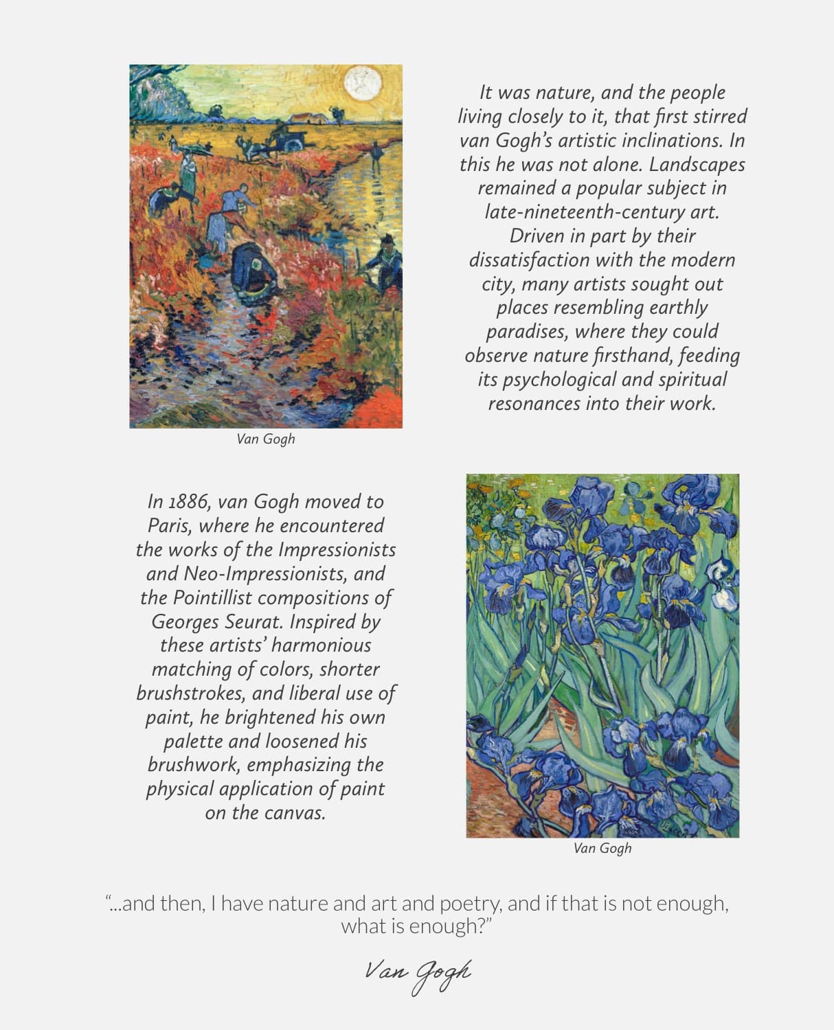 Van Gogh's Art Procreate Brushes