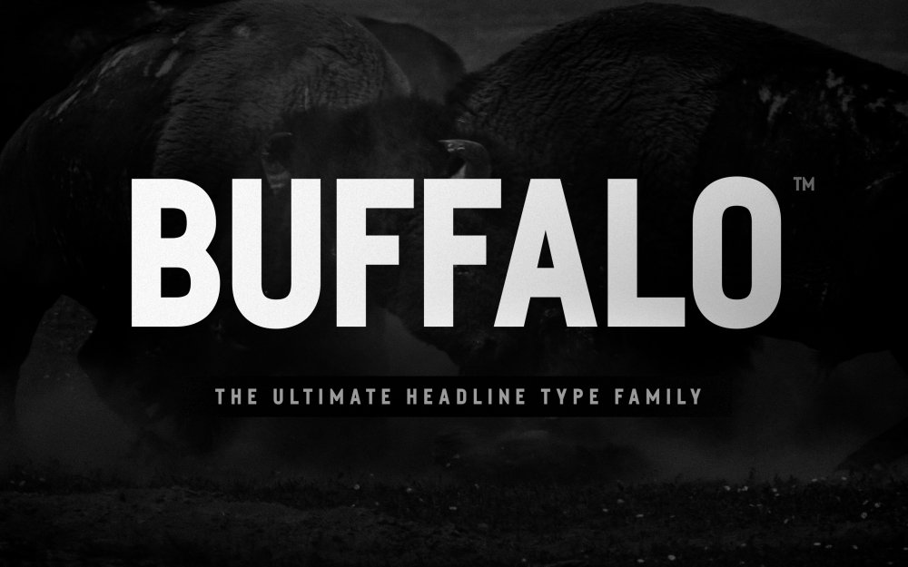 Buffalo Magazine Font