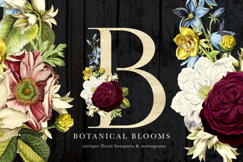 Botanical Blooms & Monograms