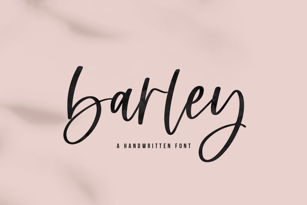 Barley – Modern Script Font