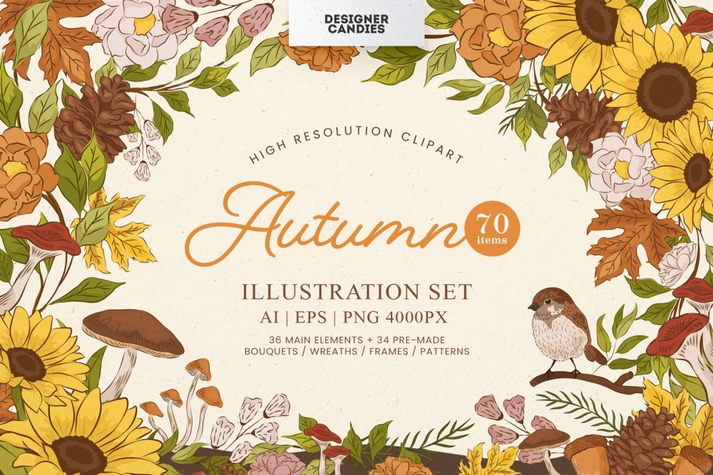 Fall Autumn Illustrations Set