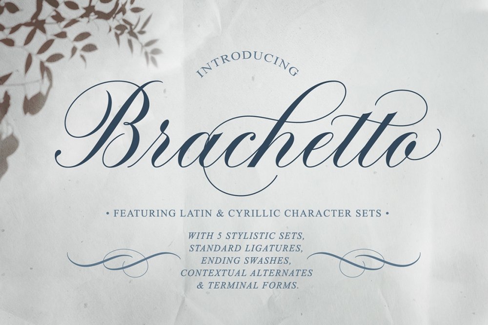 Brachetto Script Font