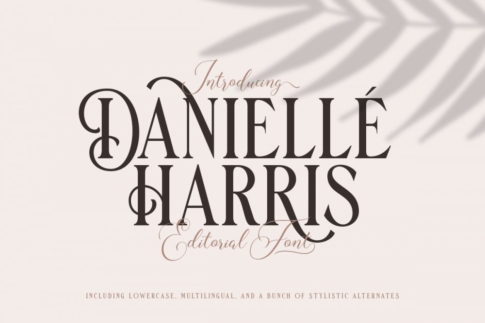 Danielle Harris – Editorial Font