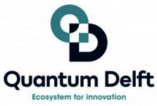 Logo Quantum Delft