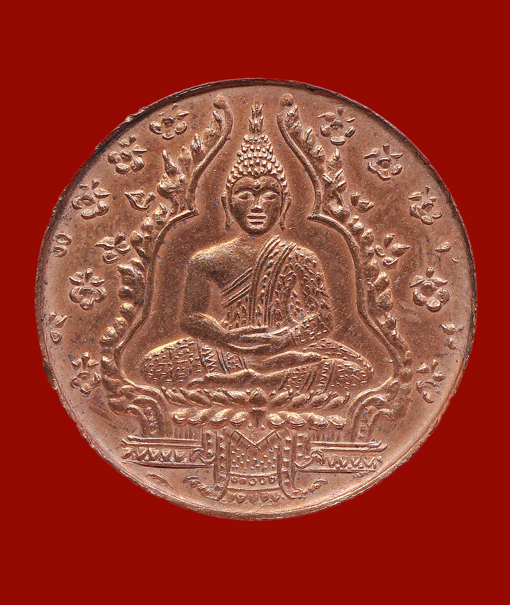 My Image 71