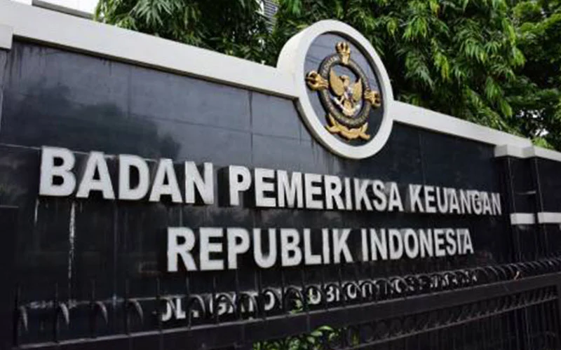 BPK Sebut Data Pemicu di Approweb DJP Tidak Sepenuhnya Valid