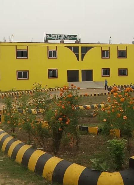 DALIMSS Sunbeam Chakia photo 5