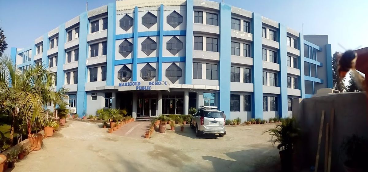 Marigold Public School photo 1