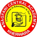 Nagfani Central Academy logo