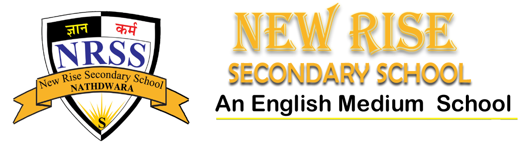 New Rise Senior Secondary School logo