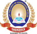 SHEMROCK School Bhilwara logo
