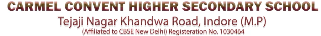 Carmel Convent Higher Secondary School logo