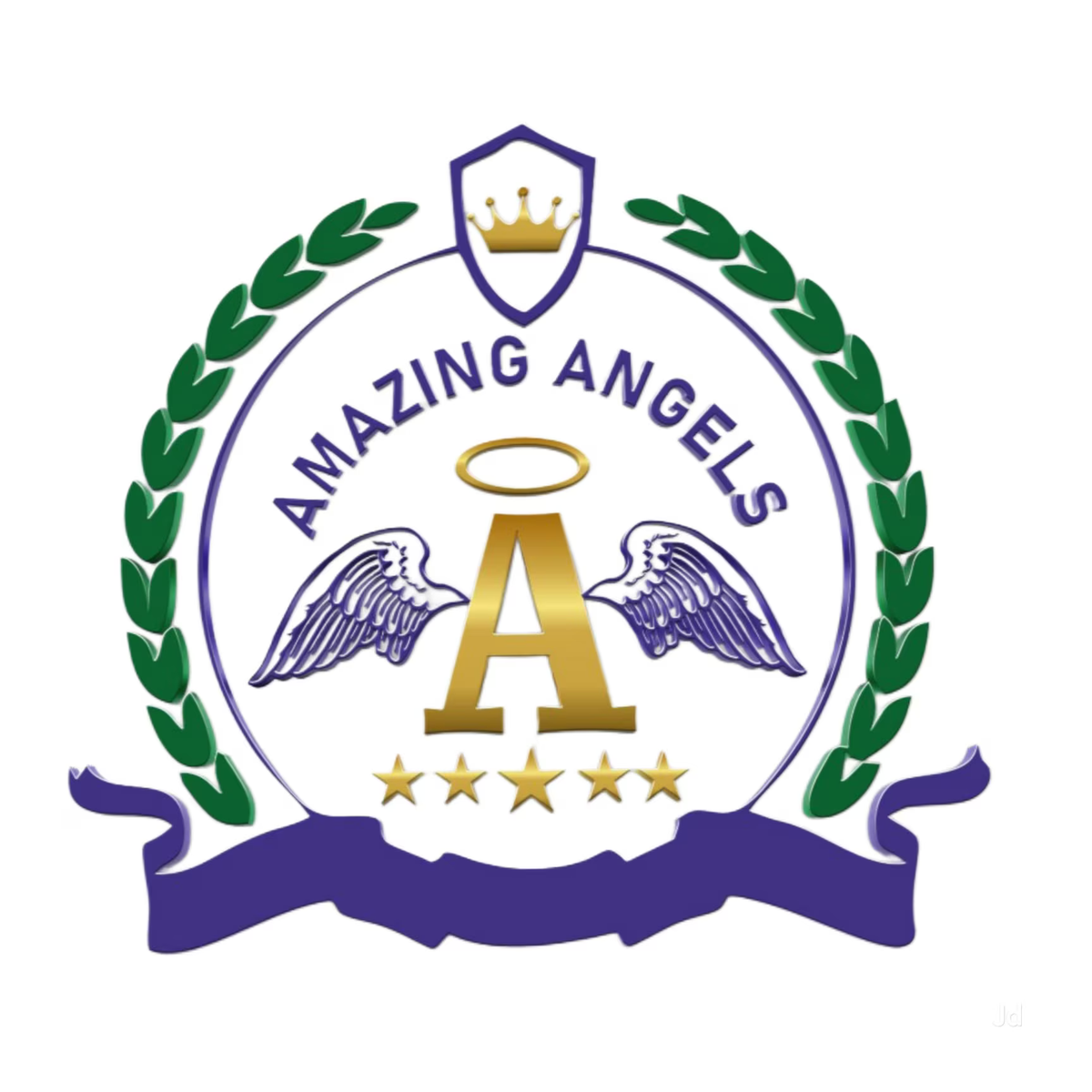 Amazing Angels Public School logo