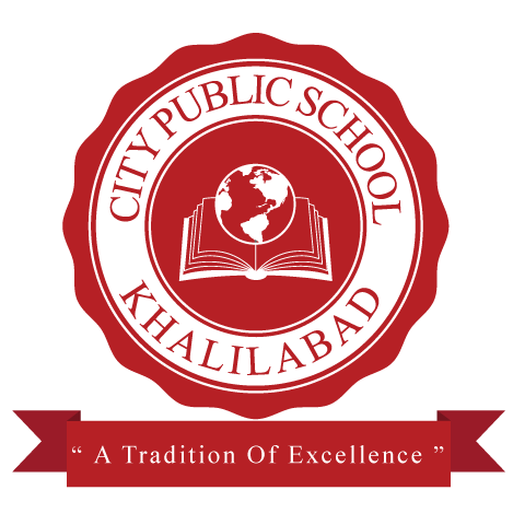 City Public School logo