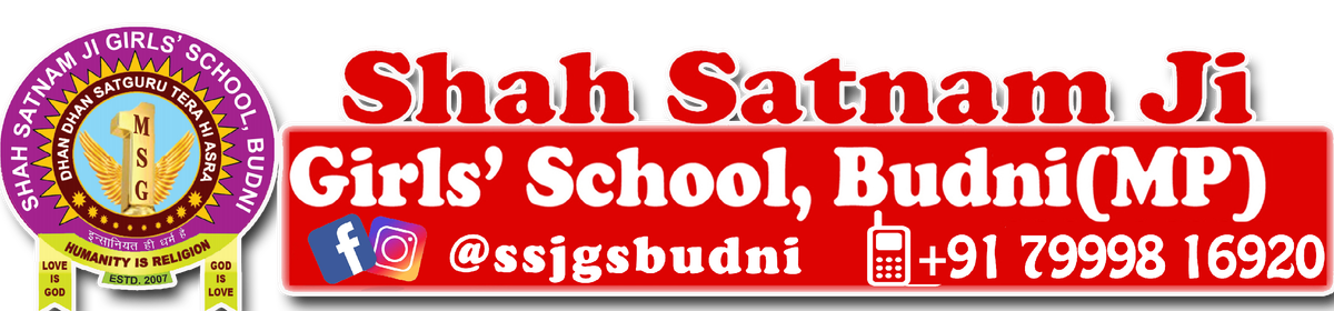 Shah Satnam Ji Girls' School, Budni logo
