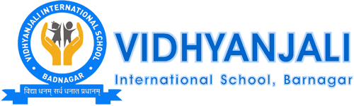 The Vidhyanjali International School Badnagar logo