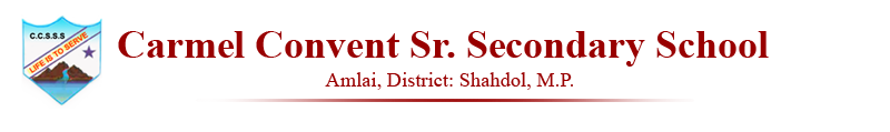 Carmel Convent Senior Secondary School, Amlai logo