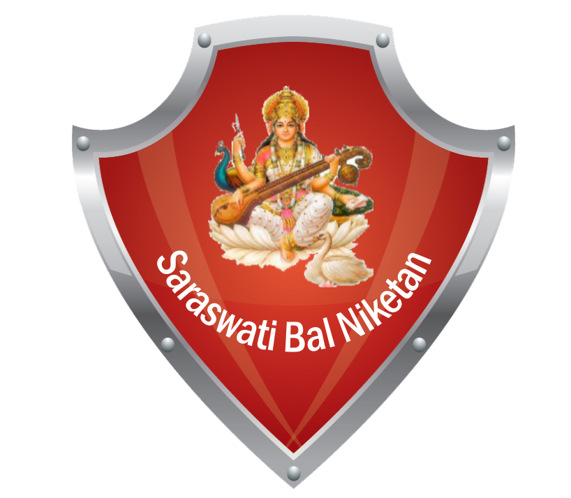 Saraswati Bal Niketan Sr Sec School logo