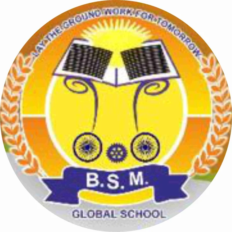 B.S.M. Global School logo
