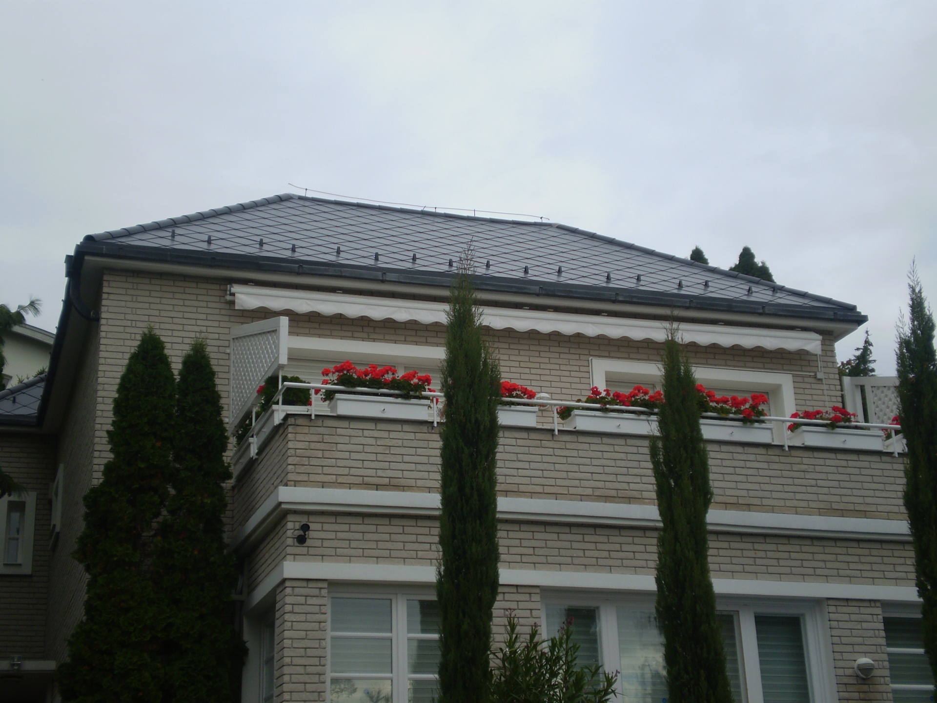 Betongraue Ziegelverkleidung und charmante Geranien verleihen diesem Haus mediterranes Flair - Betonfarbenes Ziegelpflaster und bezaubernde Geranien verleihen diesem Haus ein mediterranes Flair