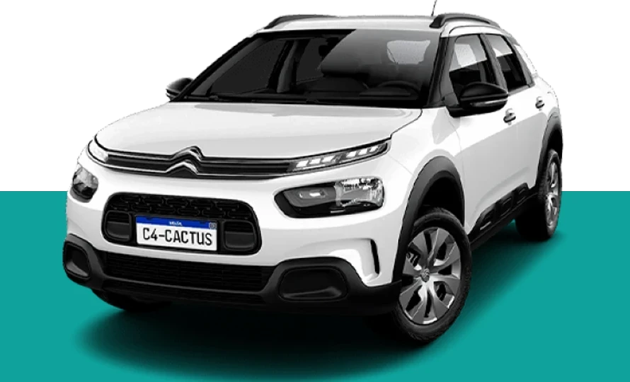 C4 Cactus C4 Cactus