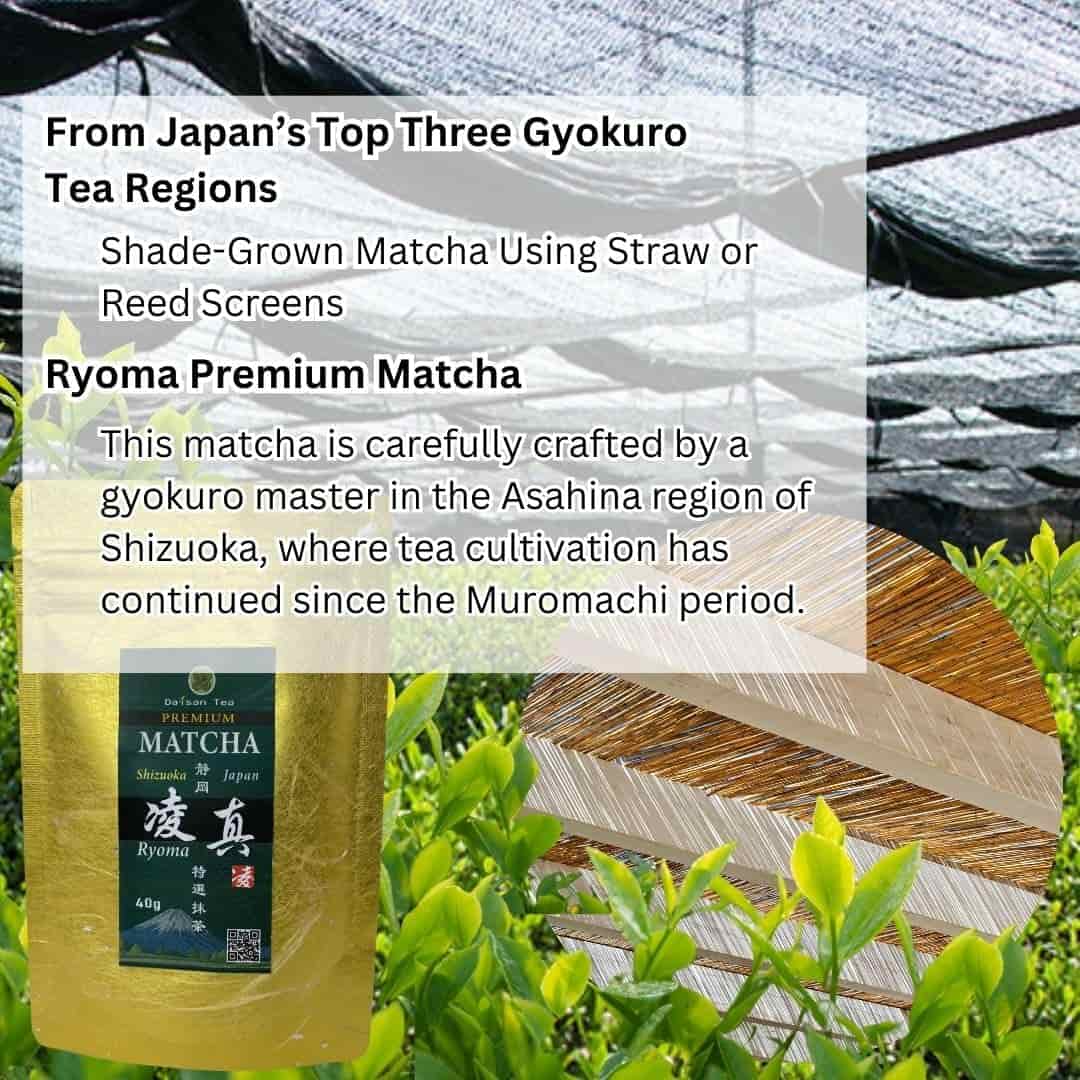Premium Matcha Ryoma pude 40 g - veganskt grönt te