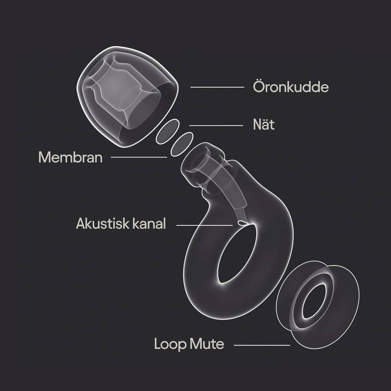 Loop Experience 2 Plus öronproppar 17 dB