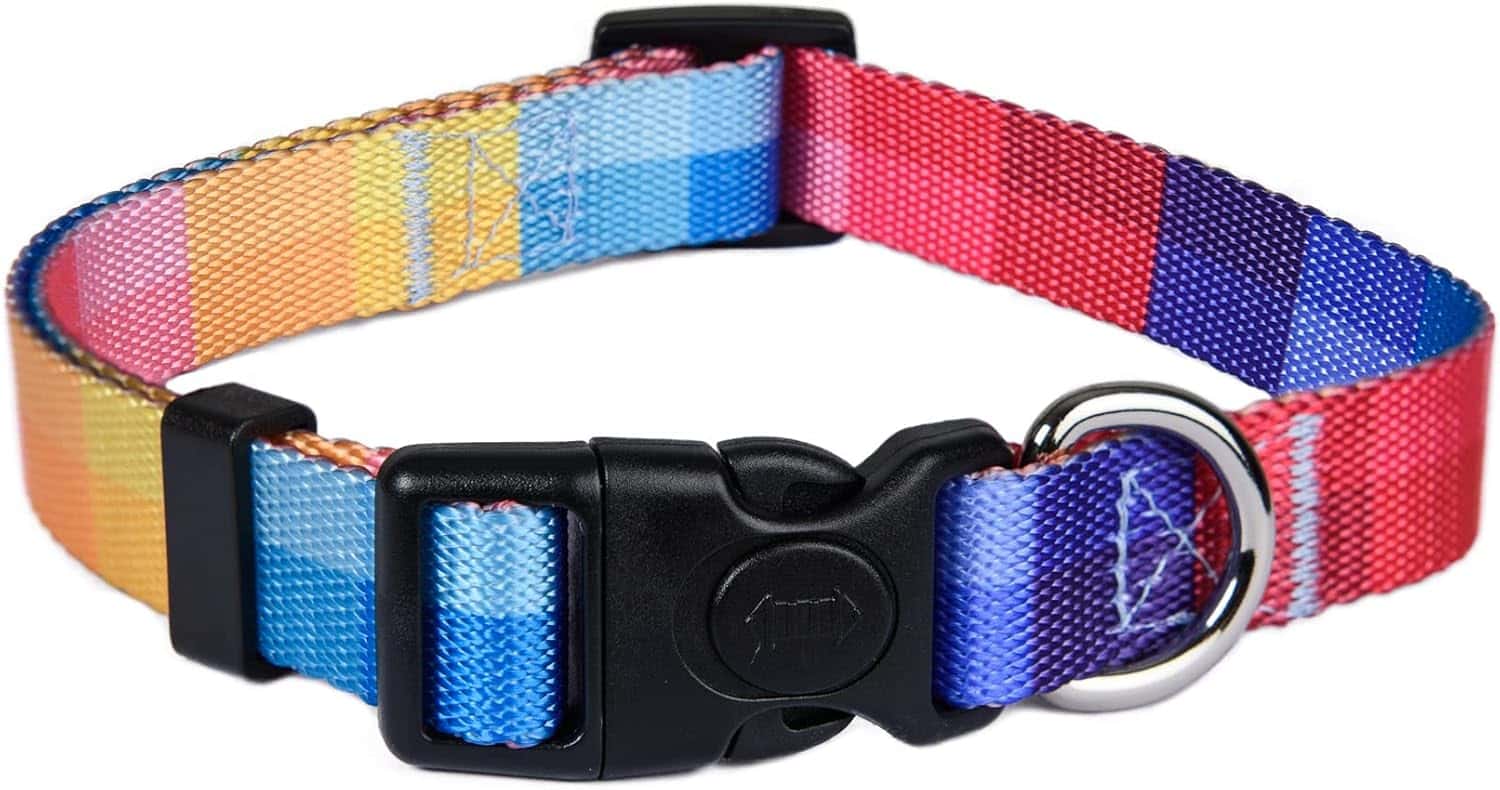 ASTORPET justerbart hundhalsband för små hundar