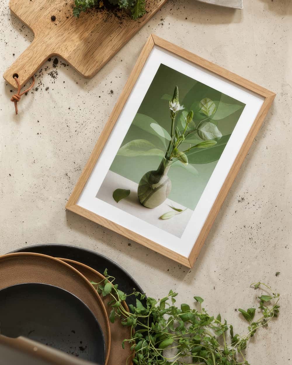 Botanical Illustration Art Poster