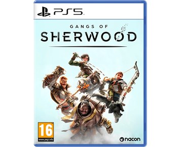 PS5 Gangs of Sherwood Game
