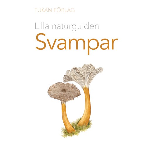 Lilla Naturguiden: Svampar