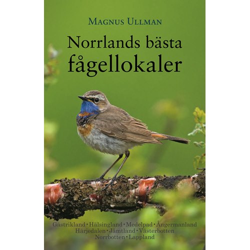Norrlands bästa fågelskådningslokaler