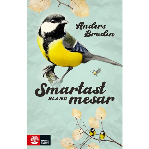 Smartaste Köksknivset - Naturbutiken
