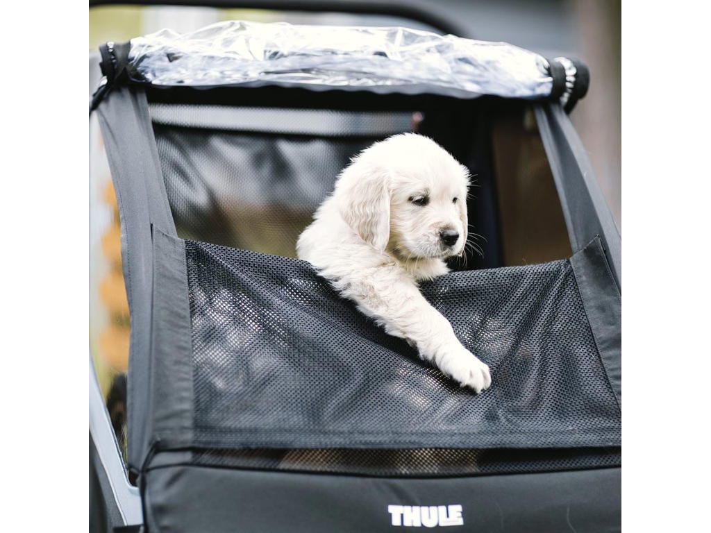 Thule Courier cykeltrailer för 2 barn blå hos Bikable