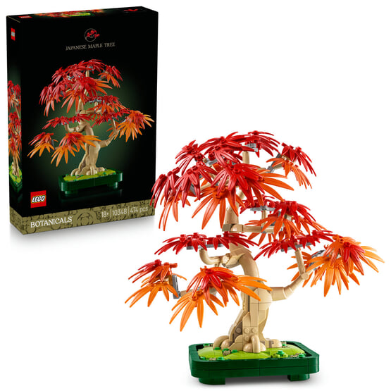 LEGO Botanicals Bonsai, Japansk Lönn