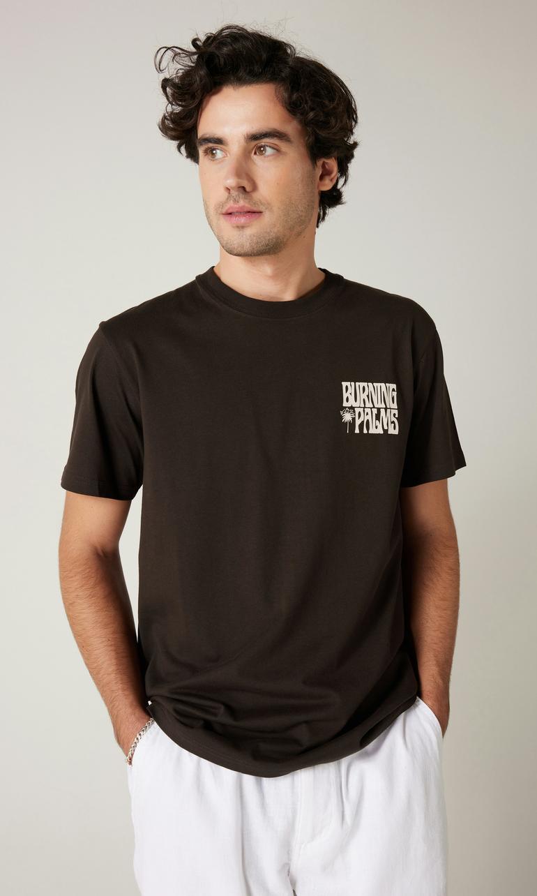 Vailent Texas T-shirt Brun Herr