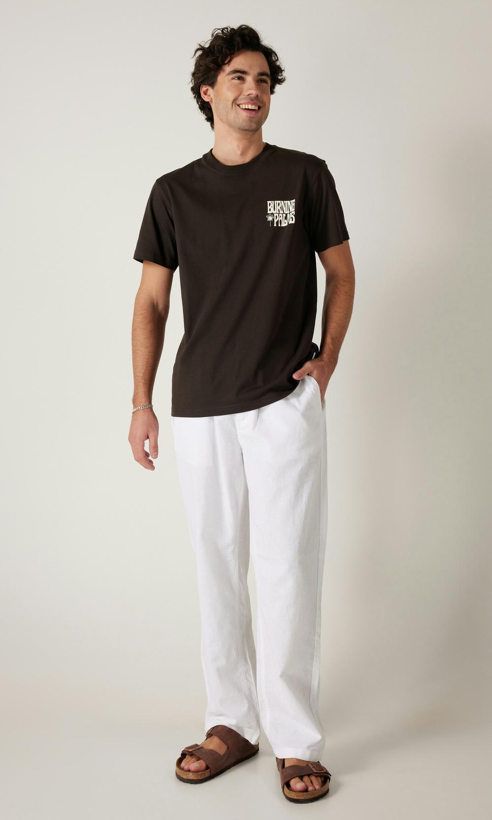 Vailent Texas T-shirt Brun Herr