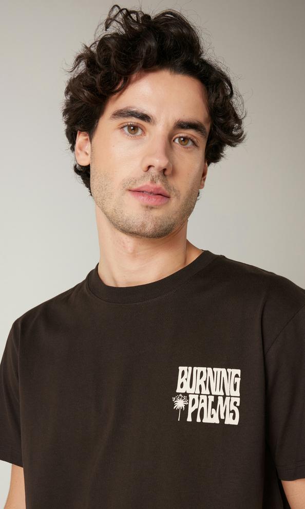 Vailent Texas T-shirt Brun Herr