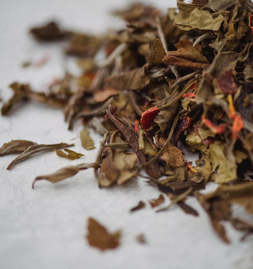 20 % + 10 % extra alumnirabatt på första köpet hos Shealife