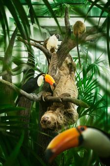 Årskort till Universeum för barn och vuxna