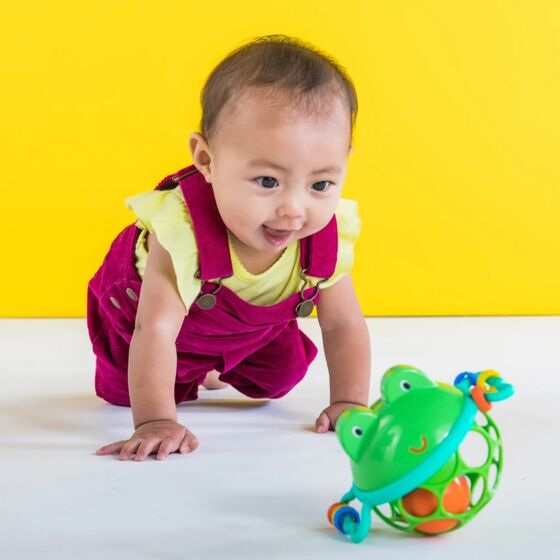 Oball Frogball Baby Rattle OB-10063