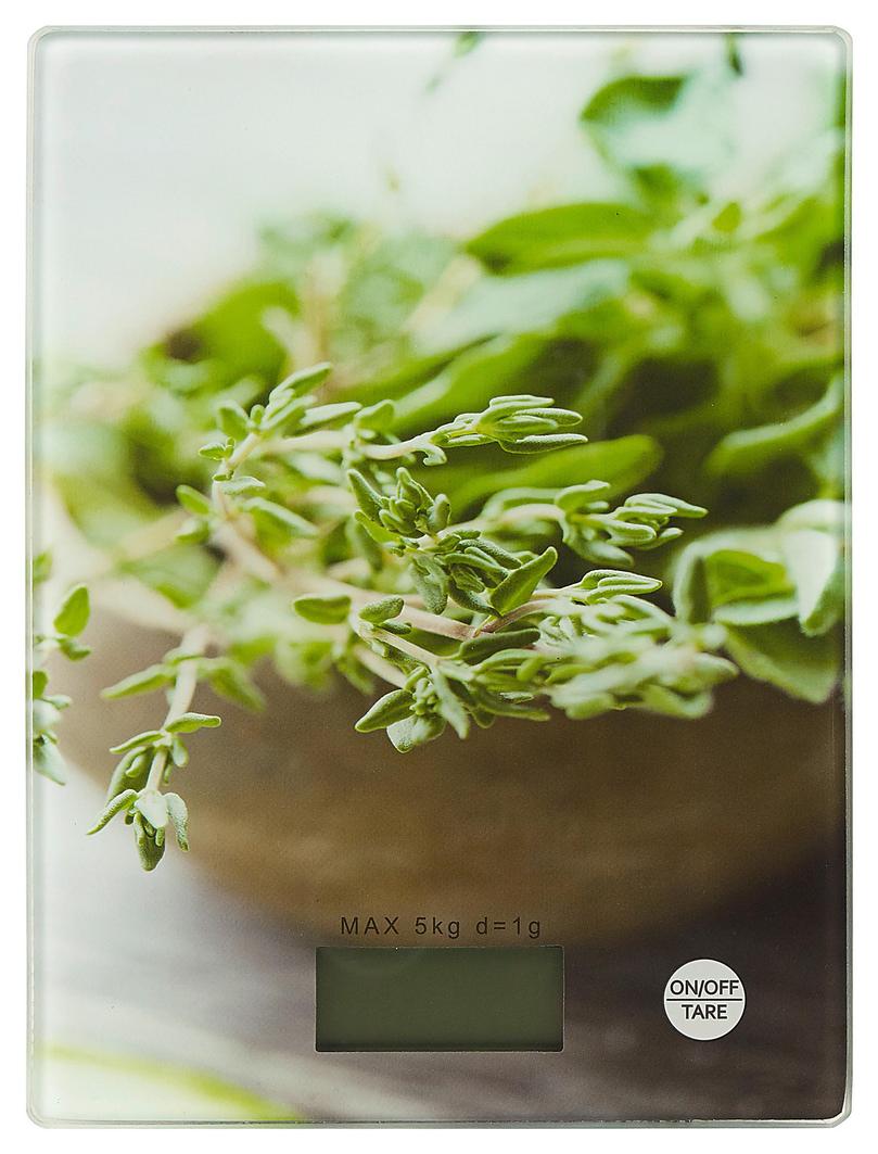 Homeware Profession Äggkokare