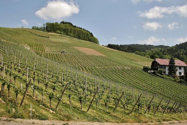 Paketresa Litauen med bil och hotell