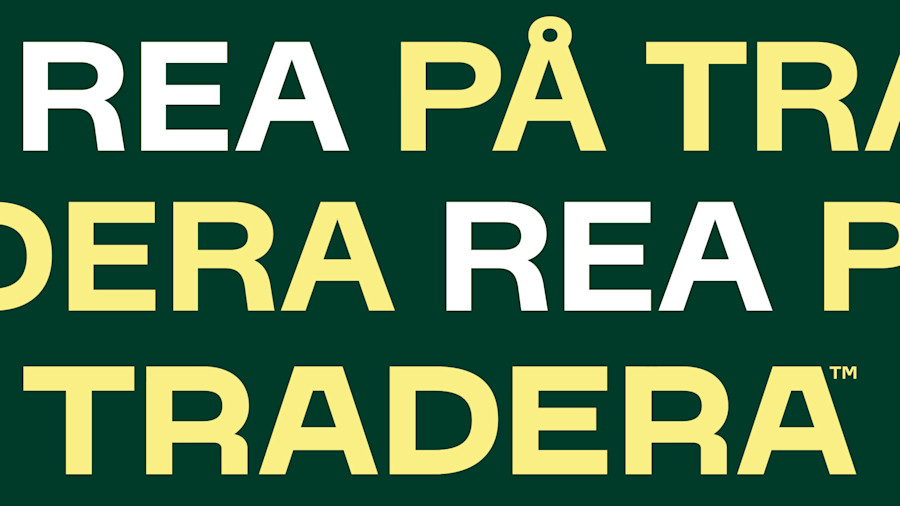 Tradera 100kr rabatt