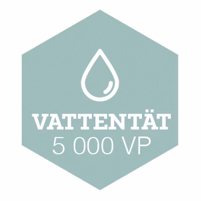 Exani Cober Junior Running Shoes.